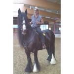 09-06-2010 -  amusika - Smoky Weston - reiten.jpg